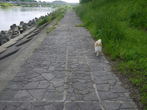 P1000305.jpg