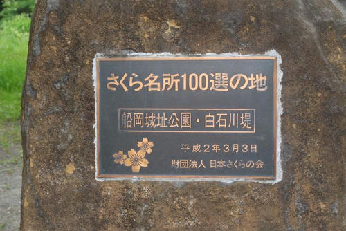 P1000413.jpg