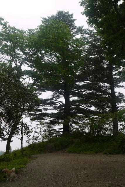 P1000415.jpg
