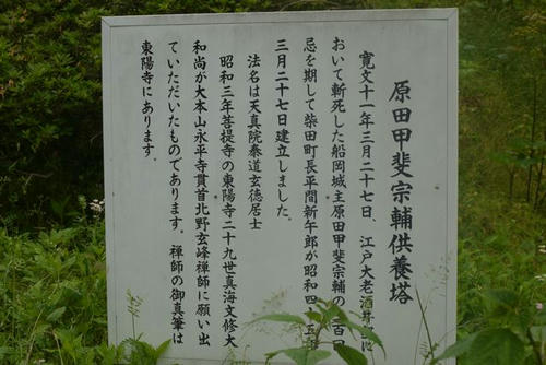 P1000435.jpg