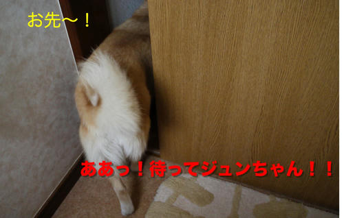 P1000670.jpg