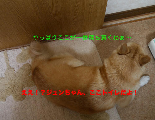 c80b93d9.jpeg