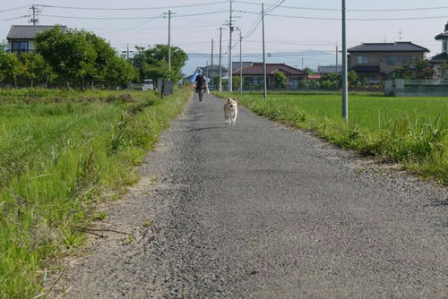 P1000716.jpg