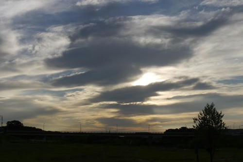 P1010720.jpg