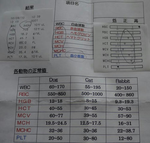 P1020074.jpg