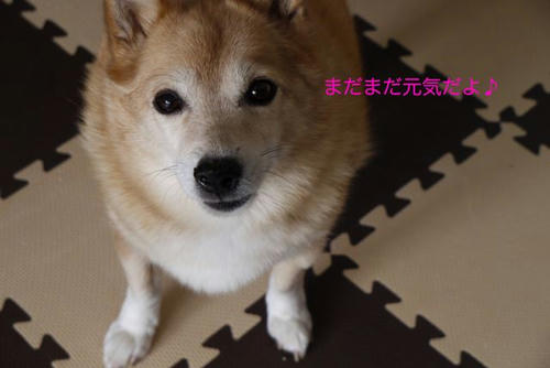 P1030311_2.jpg
