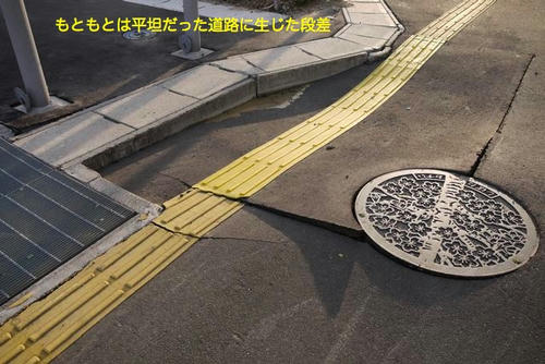 P1040443.jpg