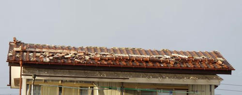 P1040444_2.jpg