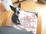 DSC00574.JPG