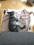 DSC00783.JPG