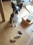 DSC00910.JPG
