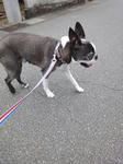 DSC01050.JPG