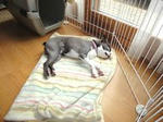 DSC01107.JPG