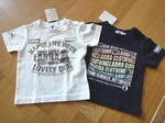 DSC01203.JPG