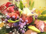 DSC02223.JPG