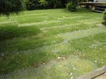DSC04669.JPG