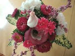DSC05048.JPG