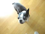 DSC05298.JPG