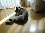 DSC05456.JPG