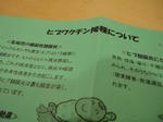 DSC05687.JPG