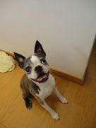 DSC05775.JPG