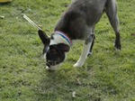 DSC05972.JPG
