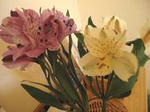 DSC06818.JPG