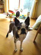DSC06842.JPG