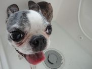 DSC07333.JPG