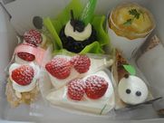 DSC07462.JPG