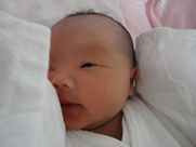 DSC07089.JPG