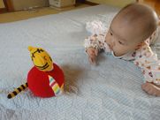 DSC08308.JPG
