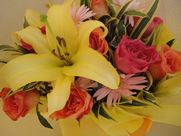DSC08877.JPG