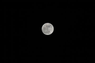 DSC_0667.JPG