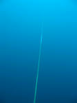 釣り糸