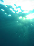 水の色が違います