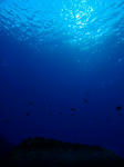クリアな蒼の海の中