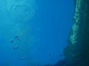 キレイな水面