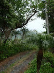 20090417_2..jpg