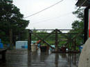 20090802.jpg