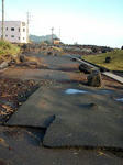 20091008_5.jpg
