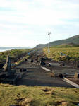 20091008_6.jpg