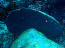 20091010_3.jpg