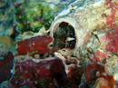 20091010_5.jpg