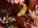 20091010_6.jpg
