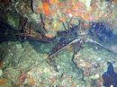 20091010_7.jpg