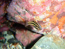 20091010_8.jpg