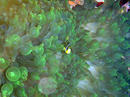 20091010_9.jpg