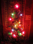 20091201.jpg