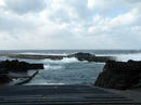 20100113_2.jpg